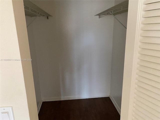 walk in closet with wood-type flooring