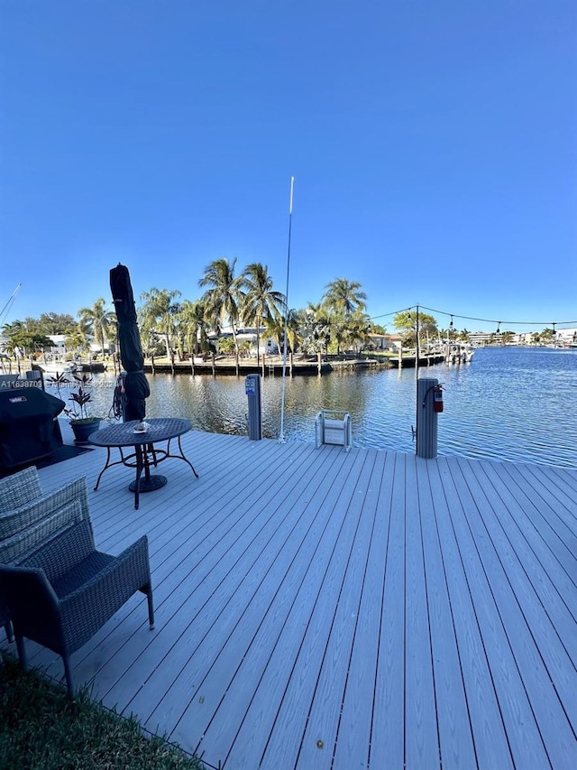 dock area with a water view