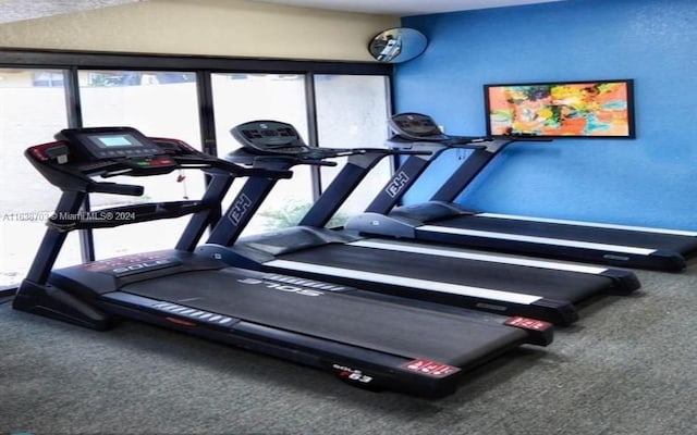 workout area featuring carpet flooring