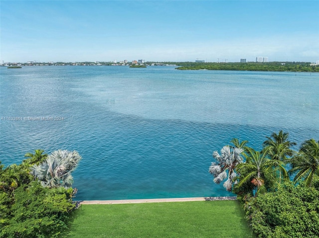 property view of water