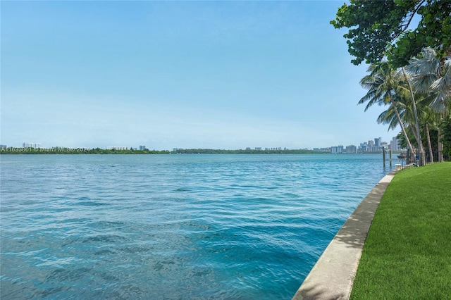 property view of water with a city view