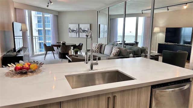 kitchen with dishwasher, sink, track lighting, and a wall of windows