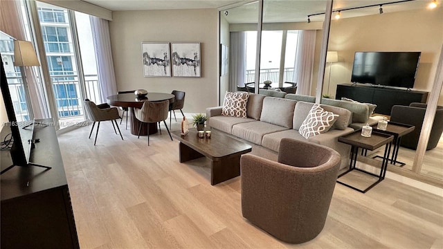 living room featuring rail lighting and light hardwood / wood-style floors