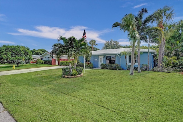 ranch-style house with a front yard