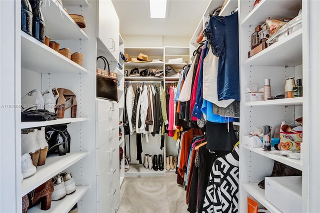 view of spacious closet