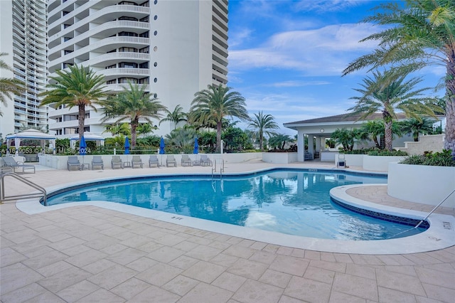 view of swimming pool with a patio