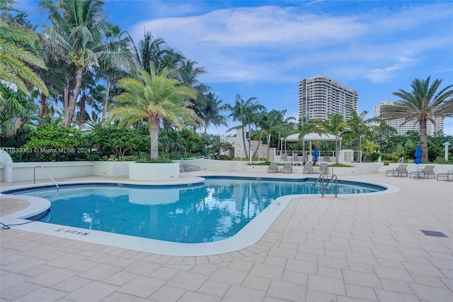 view of pool featuring a patio