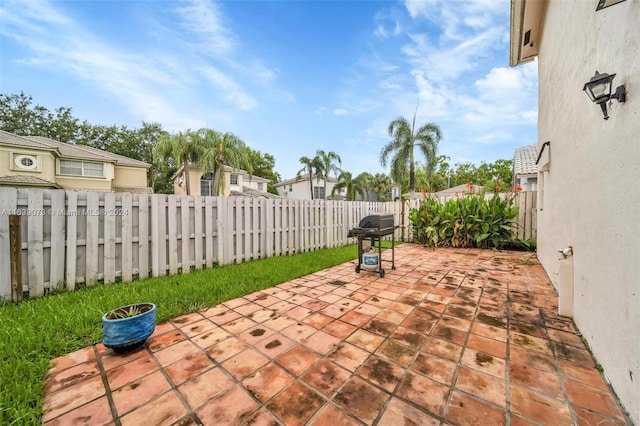 view of patio / terrace with grilling area