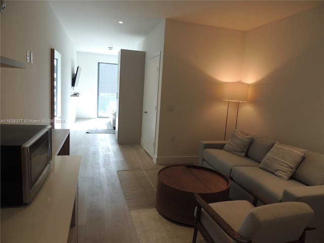 living room with light wood-type flooring