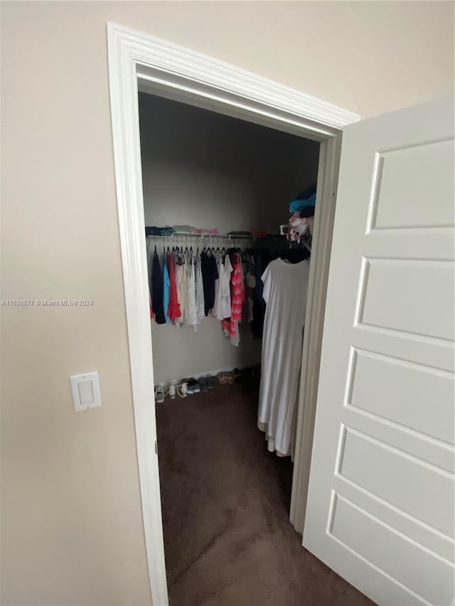 spacious closet featuring carpet floors