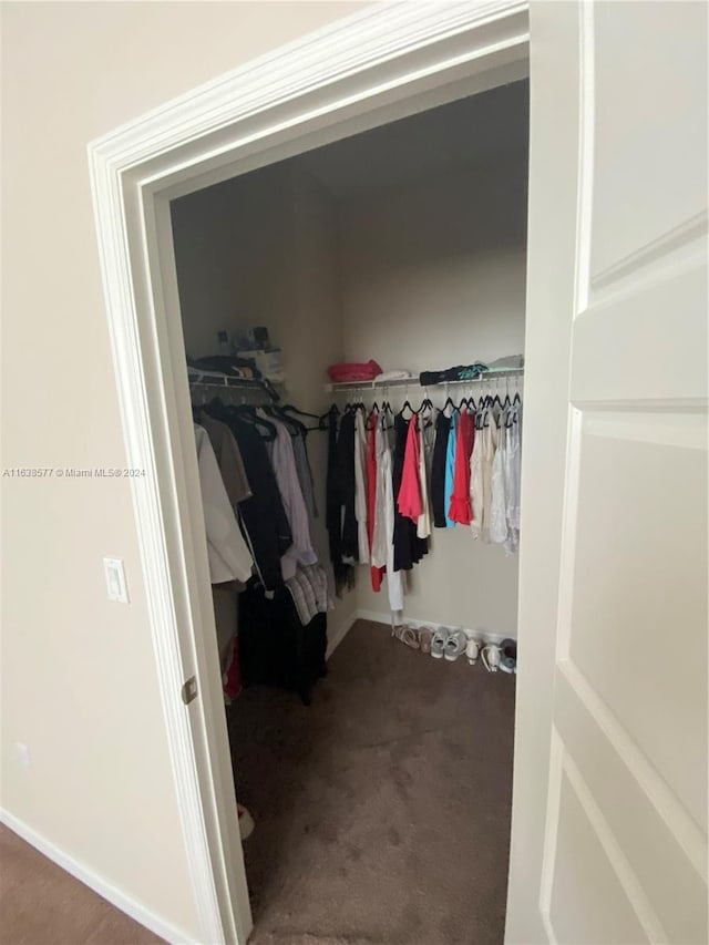 spacious closet with carpet floors