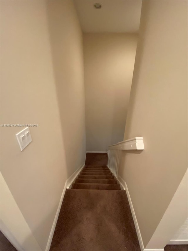 stairs with carpet flooring