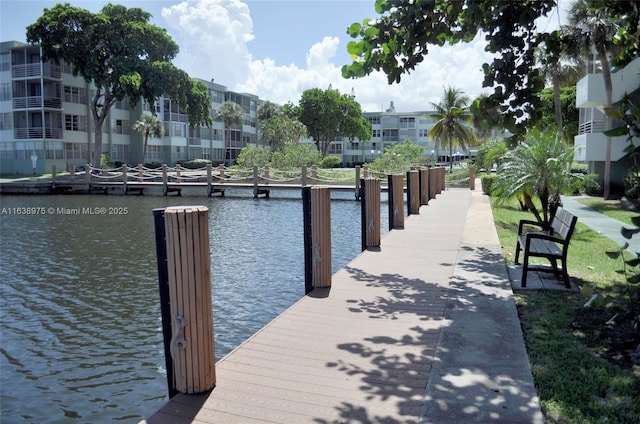 dock area with a water view