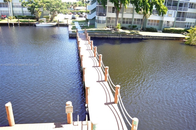 dock area with a water view