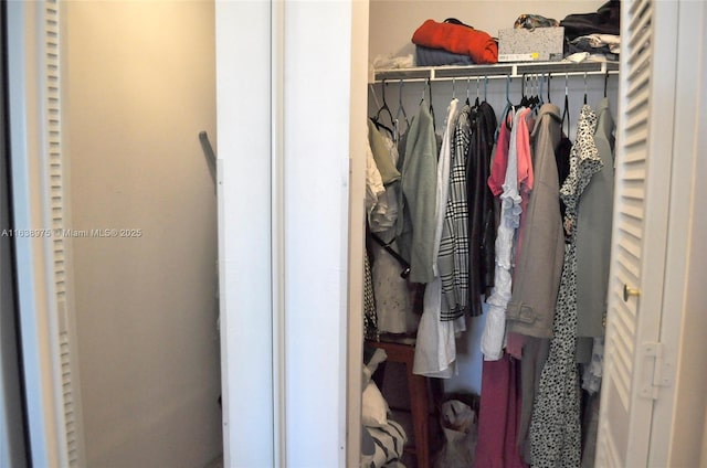 view of closet