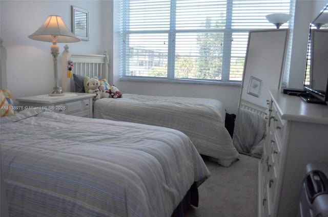 bedroom with carpet flooring