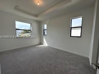 empty room featuring a tray ceiling, carpet floors, and a healthy amount of sunlight