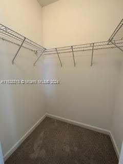 walk in closet with carpet flooring