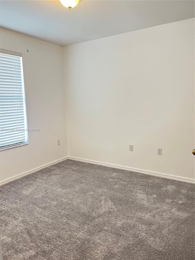 spare room featuring a healthy amount of sunlight and carpet flooring