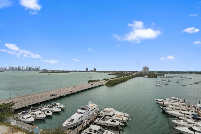 view of water feature featuring a boat dock