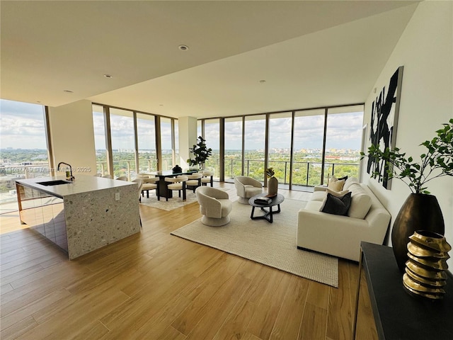 living room featuring a wealth of natural light, sink, expansive windows, and light hardwood / wood-style floors