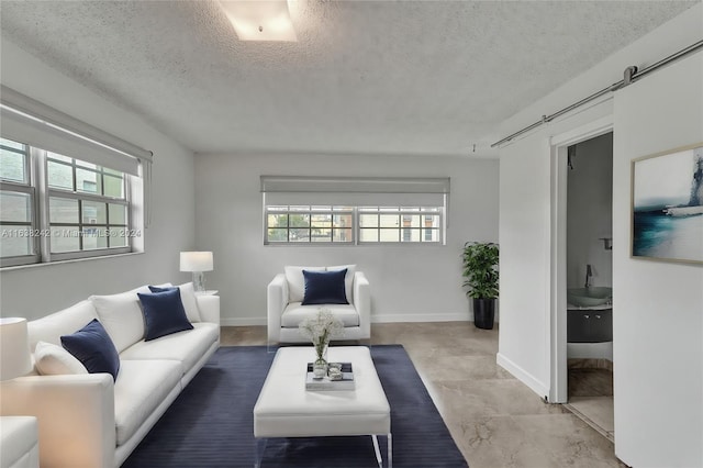 living room with a textured ceiling, a barn door, and a wealth of natural light