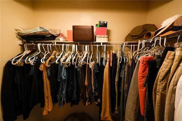 view of walk in closet