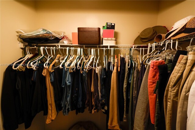 view of spacious closet