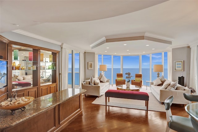 living room featuring dark hardwood / wood-style flooring, a water view, expansive windows, and a healthy amount of sunlight