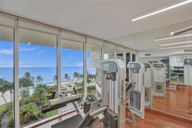 exercise room with plenty of natural light, wood-type flooring, and a water view