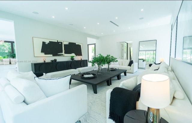 carpeted living room with a wealth of natural light