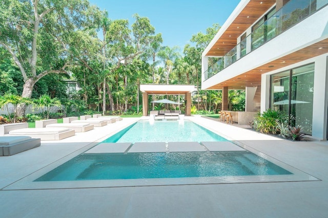 view of pool featuring a patio area