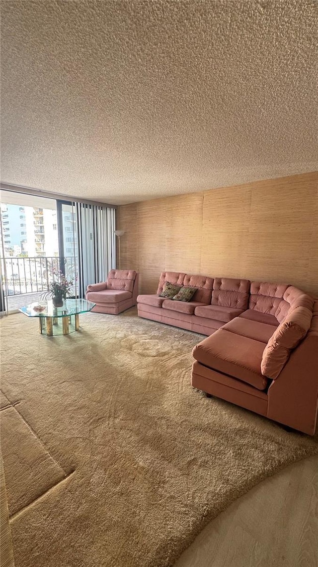 living room featuring carpet flooring and a textured ceiling