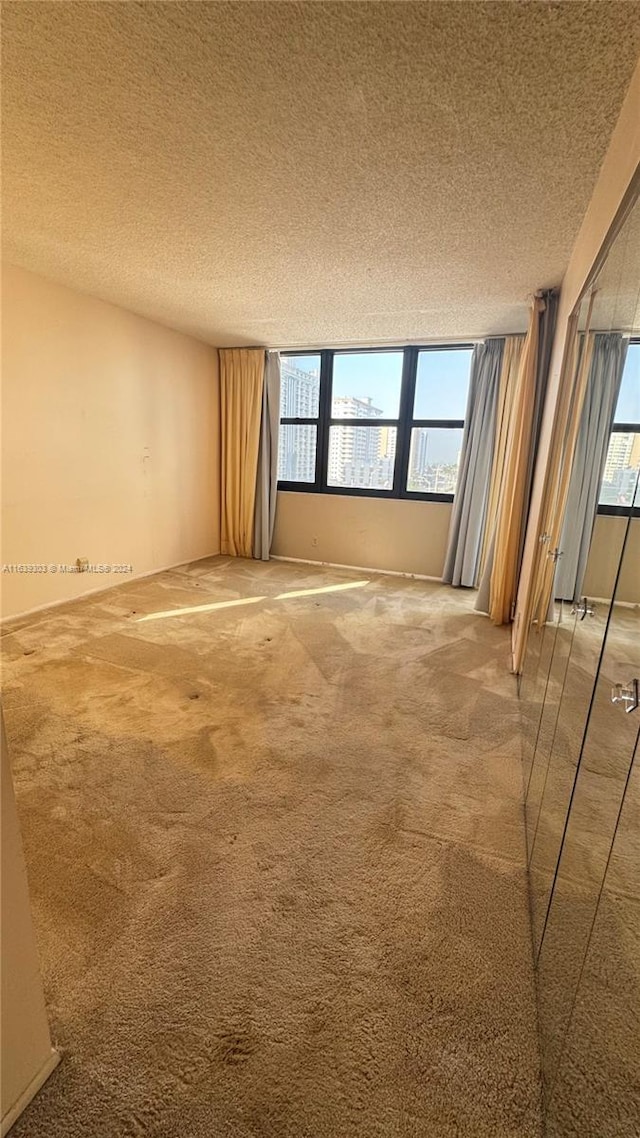 carpeted spare room featuring a wealth of natural light and a textured ceiling