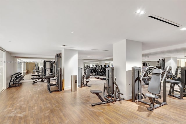 gym featuring light hardwood / wood-style flooring