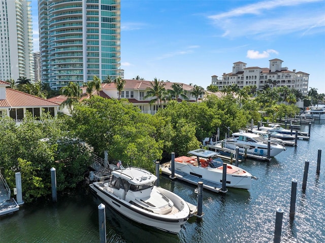 dock area with a water view