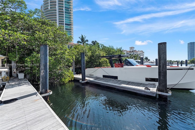 dock area with a water view