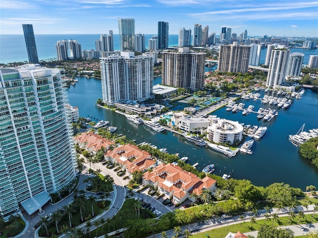 aerial view with a water view