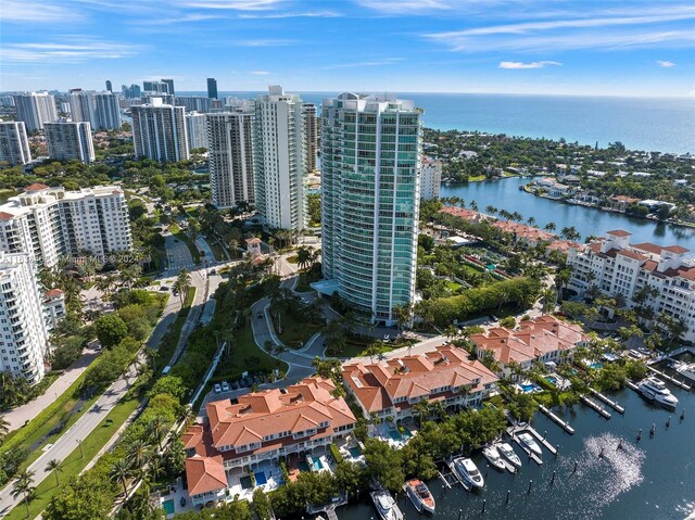 aerial view with a water view