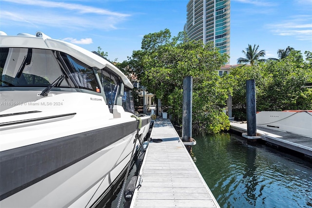 dock area featuring a water view