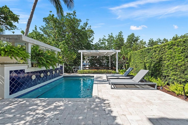 view of pool featuring a pergola and a patio area