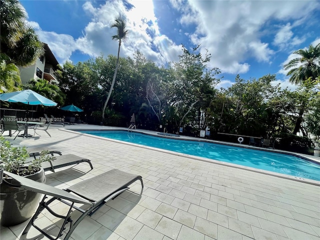 view of pool with a patio area