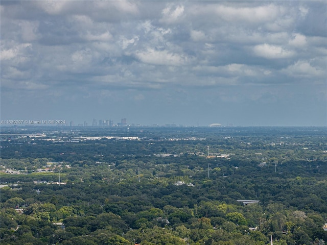 bird's eye view