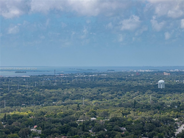 bird's eye view