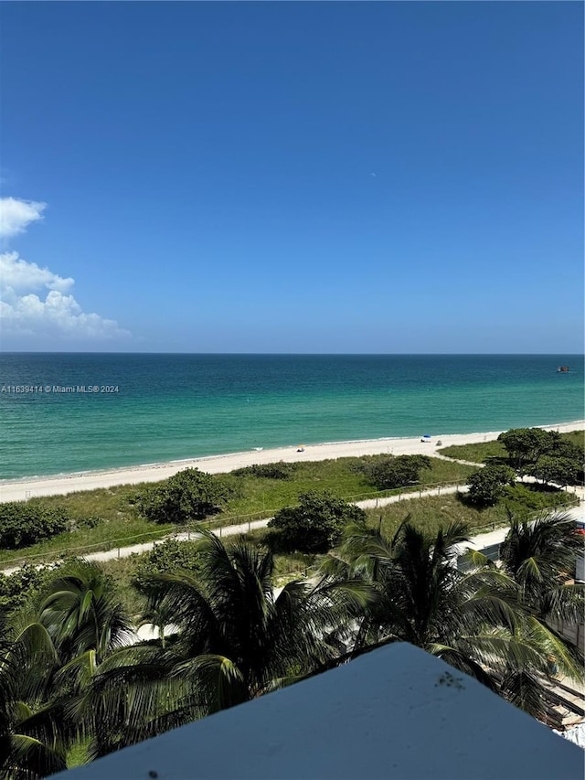 water view featuring a beach view