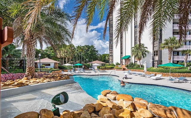 view of swimming pool with a patio area