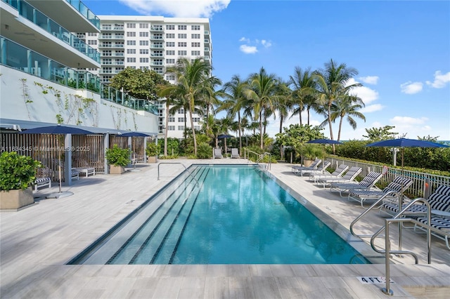 view of swimming pool featuring a patio area