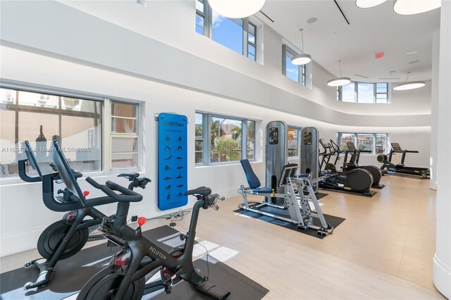 workout area featuring a high ceiling and plenty of natural light