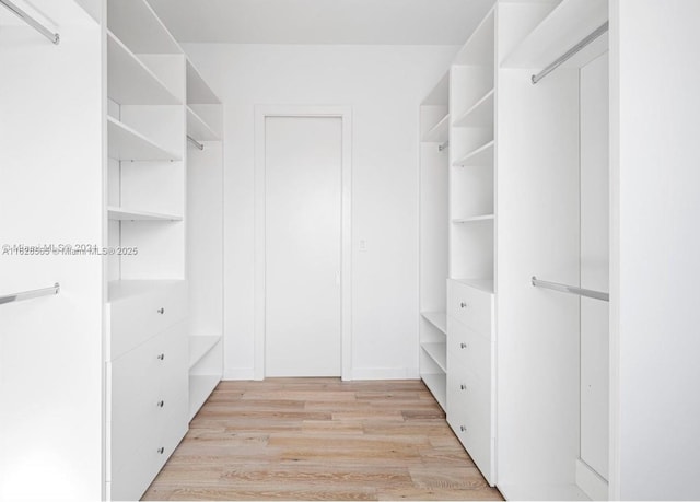 spacious closet with light hardwood / wood-style floors