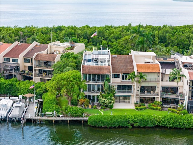 aerial view with a water view